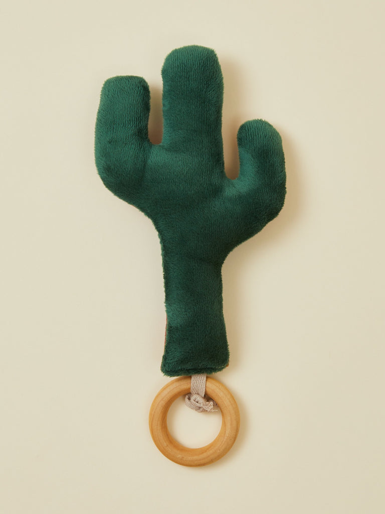 Tucson Cactus Rattle Teether
