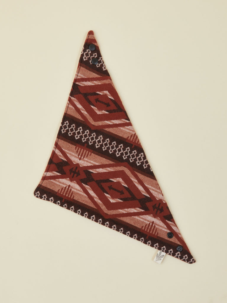 Print Baby Bandana Bib