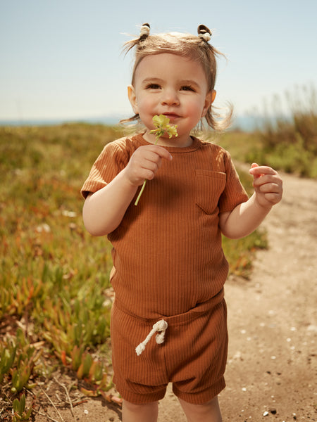 Baby brown short sleeve top and shorts 2 piece set