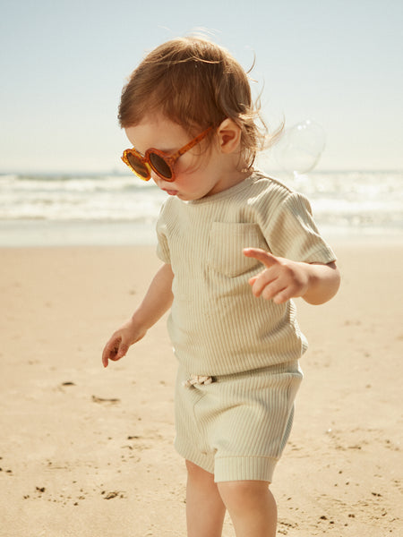 Gray Short Sleeve Pullover and Short Baby 2 Piece Set