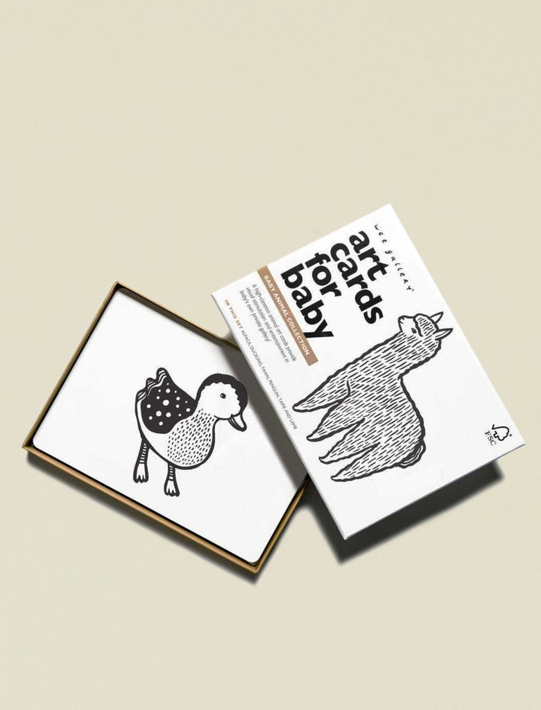 Baby Art Cards Set With Contrast Animals