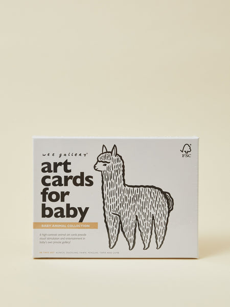 Baby Art Cards Set With Contrast Animals